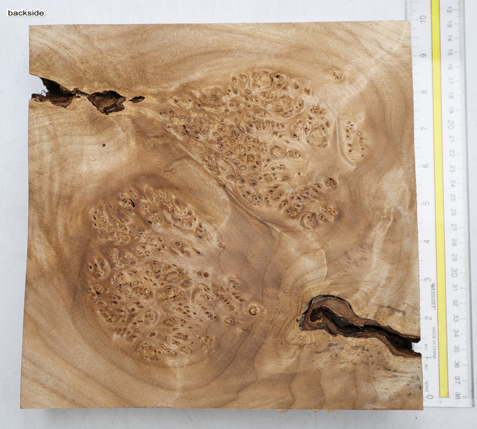 Maple Burl Square Block 230 * 230 * 51.mm (GREAT FIGURE) - Stock# 6-8221