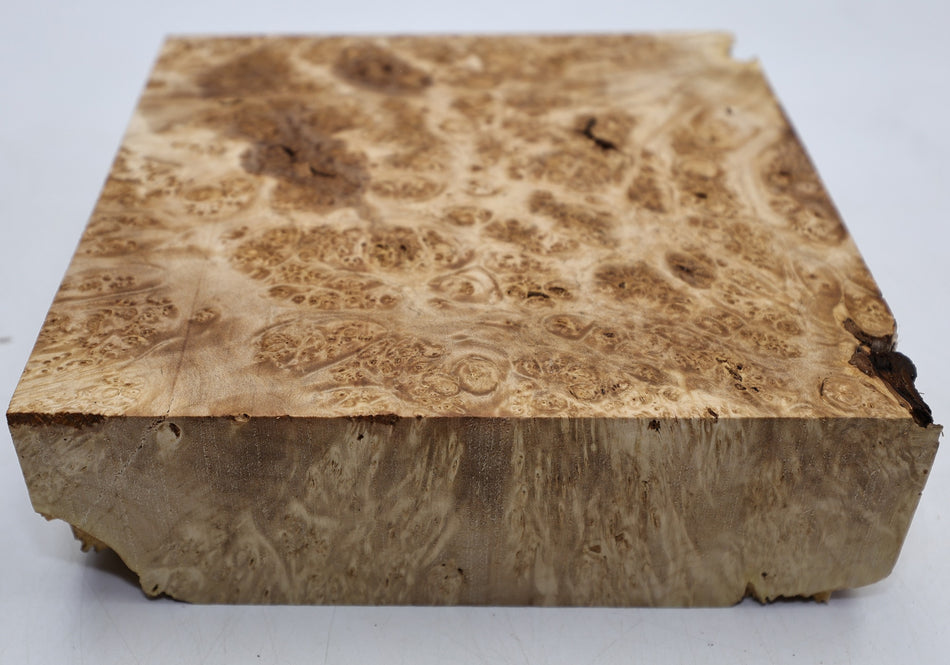 Maple Burl Square Block 255 * 255 * 80.mm (HIGH FIGURE) - Stock# 6-8252