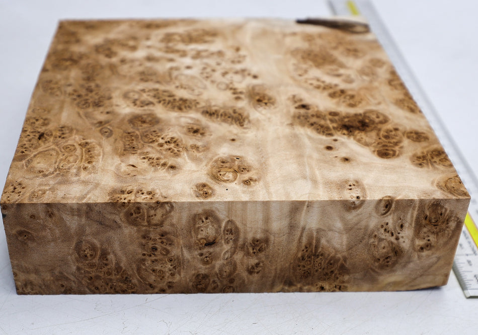 Maple Burl Square Block 200 * 200 * 54.mm (HIGH FIGURE) - Stock# 6-8338