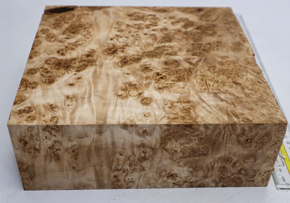 Maple Burl Square Block 230 * 230 * 80.mm (HIGH FIGURE) - Stock# 6-8360