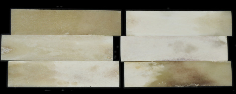 Unbleached Bone Saddle blank 130 * 30 * 3 mm Oversized
